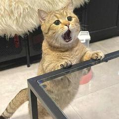 一个人躲猫猫