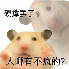 皮蛋瘦肉周周