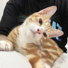 李渔