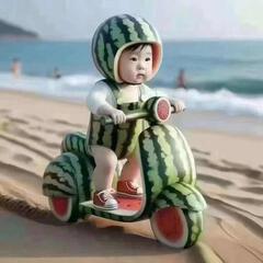 逐光而行
