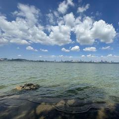 新希望