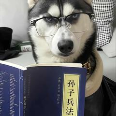 小手大人
