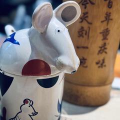 秋小君