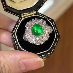 秀逸晨风