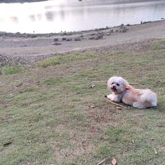 飘渺月
