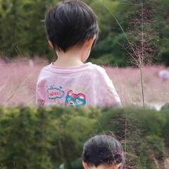 waoystjk