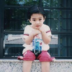 乐尹林