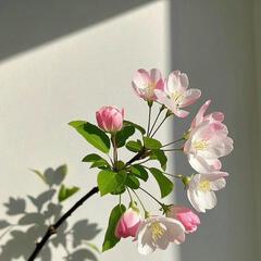 最好的时光111