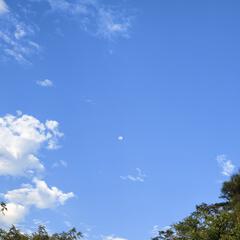牛牛8888