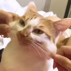 匿名用户865268