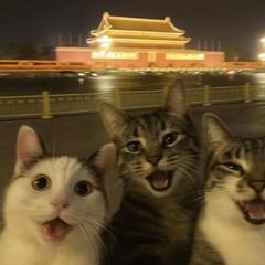 夏天下雨不打雷