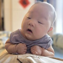 芝士就是力量888