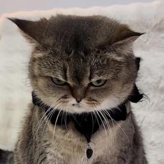 溪铭