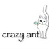 crazy_ant