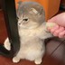 07豆