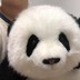 极地冬眠熊OldWay