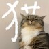松枝山茶