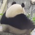 地心眼