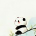 梦想成真999