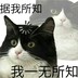 cocososo
