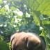糖果果超甜