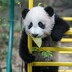 随缘随心