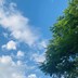 山野清风