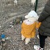 加菲cat