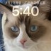 妙妙是个猫