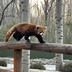 玉三三