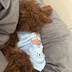 胖胖麻麻