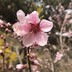 行者167
