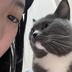 淘总