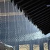 枝头雪