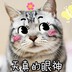 金坨儿