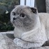 招財猫