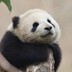 媚行者13