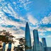 随风的蒲公英