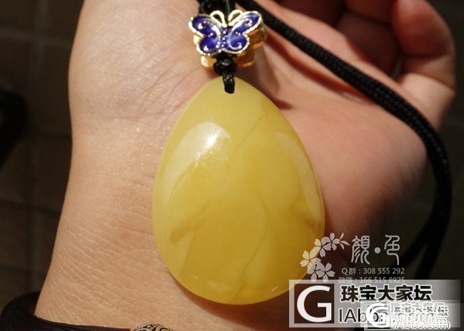 【颜●色】(售罄)天然满蜜鸡油黄水滴