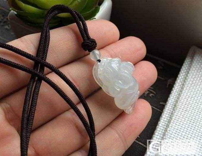 【鹅鹅翡翠】冰种转运金蟾_翡翠
