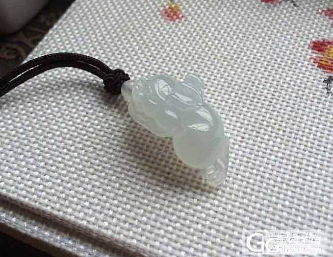 【鹅鹅翡翠】冰种转运金蟾_翡翠