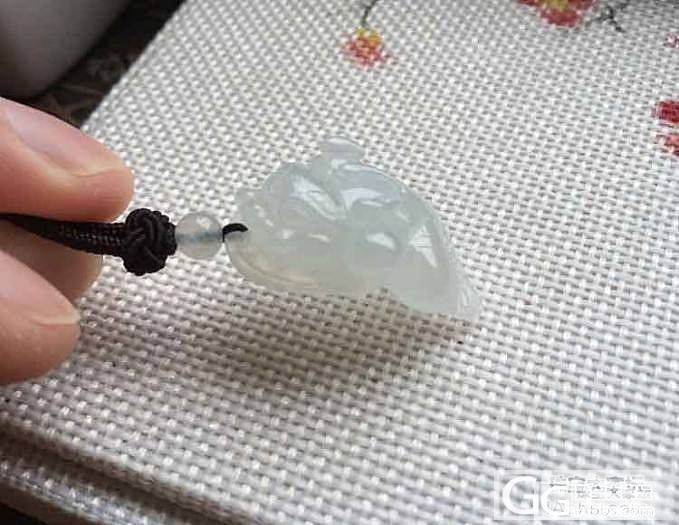 【鹅鹅翡翠】冰种转运金蟾_翡翠