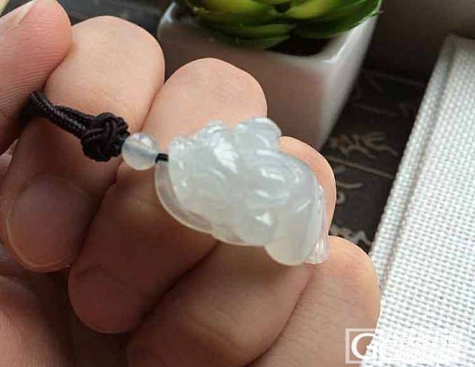【鹅鹅翡翠】冰种转运金蟾_翡翠