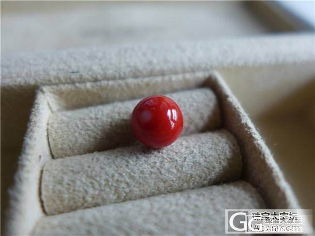 三千世界---瑕疵特惠 特红momo圆珠 7mm_三千世界