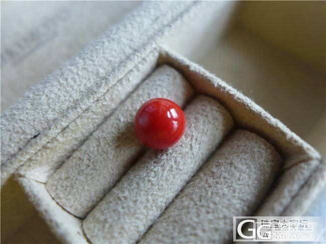 三千世界---瑕疵特惠 特红momo圆珠 7mm_三千世界