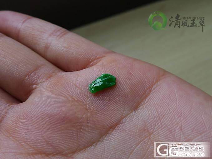 【清风玉翠】 MINI阳绿金鱼_清风玉翠
