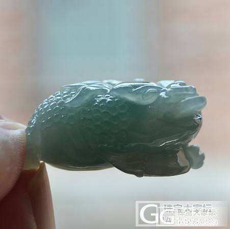 招财利器-----金蟾_翡翠