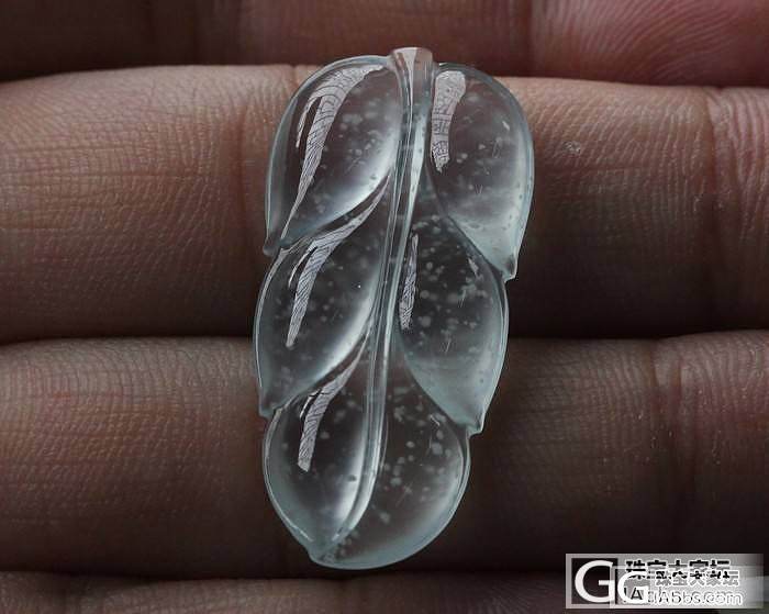 【史书翡翠】饱满木那矿玻璃叶子吊坠,当时我就惊呆了_翡翠