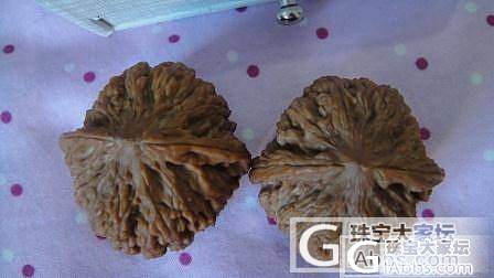 麦虎&amp;半块银元&amp;大叶紫檀雕花木梳&amp;绿檀雕花木梳_文玩