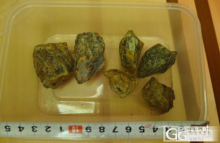 300包邮出6块多米琥珀原石(为庆祝积分300晋升小学四年级)